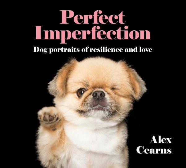 Perfect Imperfectionby Alex Cearns