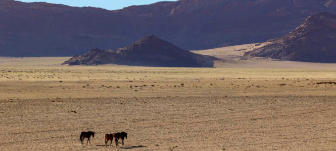 Namibia