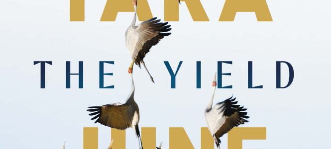 The Yield - Header Banner