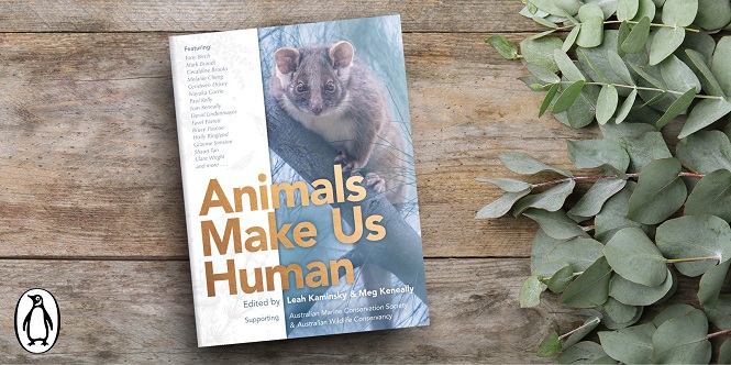 Leah Kaminsky - Header Banner