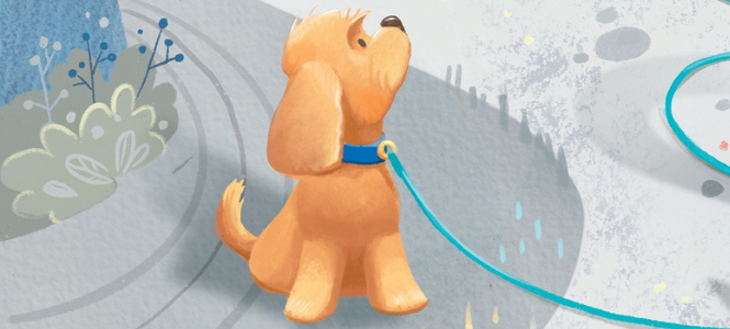 Paws - Kate Foster - Header Banner