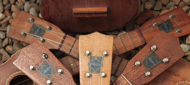 Made In Australia: My Maton Collection - Header Banner