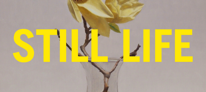Amber Creswell Bell - Still Life - Header Banner