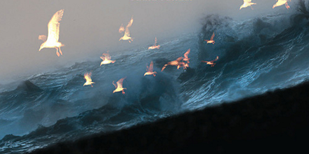 Kathryn Heyman - Fury