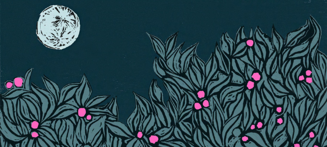 Indira Naidoo - The Space Between Stars - Header Banner