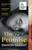 The Promise : WINNER OF THE BOOKER PRIZE 2021 - Damon Galgut