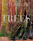 Trees : Between Earth and Heaven - Art Wolfe