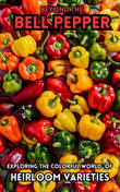Beyond the Bell Pepper : Exploring The Colorful World of Heirloom Varieties - Ruchini Kaushalya