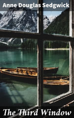 The Third Window : Exploring Society and Identity in a Classic Romance Novel - Anne Douglas Sedgwick