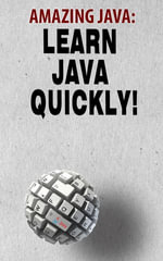 Amazing Java : Learn Java Quickly - Andrei Besedin