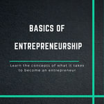 The Basics of Entrepreneurship : Learn the concepts of what it takes to become an entrepreneur - Sasan Seyedi