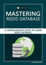 Mastering Redis database - YouGuide International BV