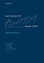 Soft Interfaces : Lecture Notes of the Les Houches Summer School: Volume 98, July 2012 - David  Quere
