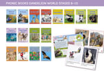 Dandelion World 8-15 : Adjacent consonants and consonant digraphs - Phonic Books