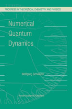 Numerical Quantum Dynamics - W. Schweizer