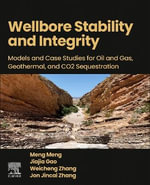 Wellbore Stability and Integrity : Models and Case Studies for Oil and Gas, Geothermal, and CO2 Sequestration - Jiajia  Gao