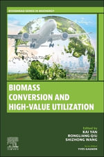 Biomass Conversion and High-Value Utilization : Woodhead Series in Bioenergy - Yan