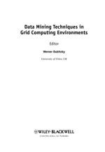 Data Mining Techniques in Grid Computing Environments - Werner Dubitzky