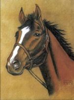 Horse Notebook - DOVER PUBLICATIONS