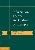 Information Theory and Coding by Example - Mark Kelbert