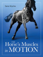 Horse's Muscles in Motion - SARA WYCHE