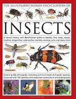 The Illustrated World Encyclopaedia of Insects : A Natural History and Identification Guide to Beetles, Flies, Bees Wasps, Springtails, Mayflies, Stoneflies, Dragonflies, Damselflies, Cockroaches, Mantids, Earwigs ... and Many More - Martin Walters
