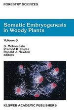 Forestry Sciences : Volume 4 - S.M. Jain