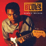 Chasing the Blues : A Memoir - Steve D. Arnold