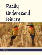 Really Understand Binary - Rex a Barzee