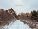 Postulations - Melanie Dyer