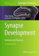 Synapse Development : Methods and Protocols - Tolga Soykan
