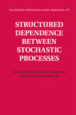 Structured Dependence between Stochastic Processes : Encyclopedia of Mathematics and its Applications - Tomasz R. Bielecki