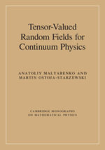 Tensor-Valued Random Fields for Continuum Physics : Cambridge Monographs on Mathematical Physics - Anatoliy Malyarenko