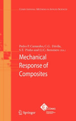 Computational Methods in Applied Sciences : Computational Methods in Applied Sciences - Pedro P. Camanho