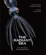The Radiant Sea : Color and Light In the Underwater World - Steven Haddock