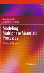 Modeling Multiphase Materials Processes : Gas-Liquid Systems - Manabu Iguchi