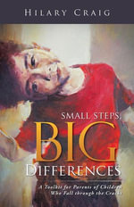 Small Steps, Big Differences : A Toolkit for Parents of Children Who Fall Through the Cracks - Hilary Craig