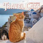 Travel Cats Wall Calendar 2026 - Workman Publishing