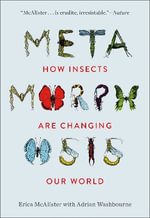 Metamorphosis : How Insects Are Changing Our World - Erica McAlister