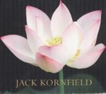 The Wise Heart : A Guide to the Universal Teachings of Buddhist Psychology - Jack Kornfield