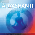 True Meditation : Allowing Everything to Be As It Is - Adyashanti