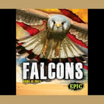 Falcons : Birds of Prey - Nathan Sommer