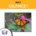 What A Change! : Science Series - Insects and Spiders : Book 6 - Kim Mitzo Thompson