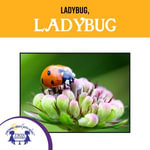 Ladybug, Ladybug : DIY Projects for Early Learners : Book 4 - Kim Mitzo Thompson