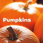 Pumpkins : Celebrate Fall - Erika L. Shores