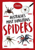 Australia's Most Dangerous Spiders : Australian Geographic Australias Most - Australian Geographic