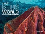 Small Blue World : Little People. Big Adventures - Jason Isley