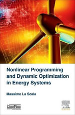 Non Linear Programming and Dynamic Optimization in Energy System - La Scala Massimo