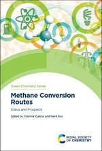 Methane Conversion Routes : Status and Prospects - Rene  Bos