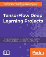 TensorFlow Deep Learning Projects : 10 real-world projects on computer vision, machine translation, chatbots, and reinforcement learning - Alexey Grigorev